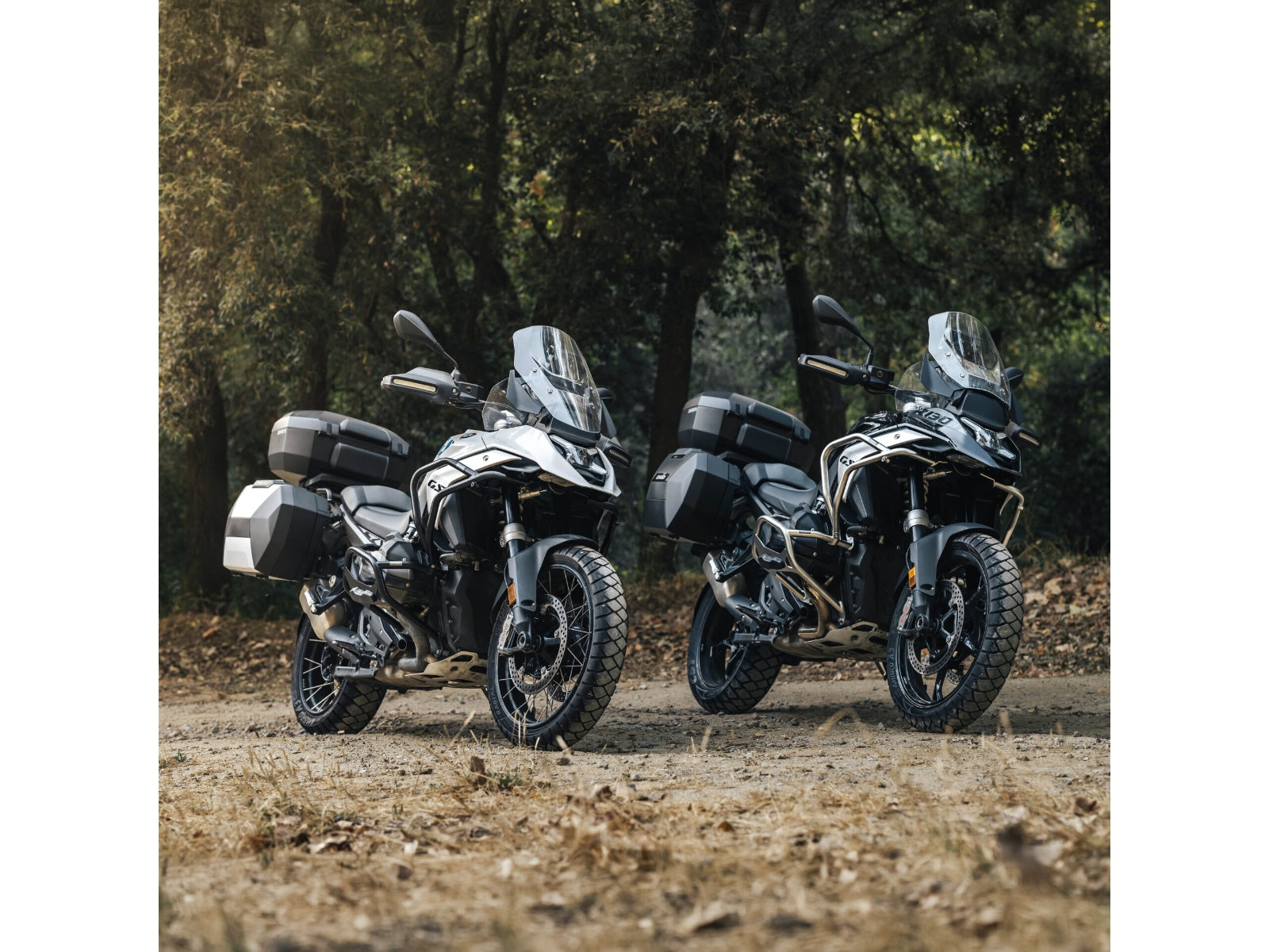 SHAD Upper Crash Bars - Silver for BMW R1300 GS Trophy (24-26) W0RG14SSH